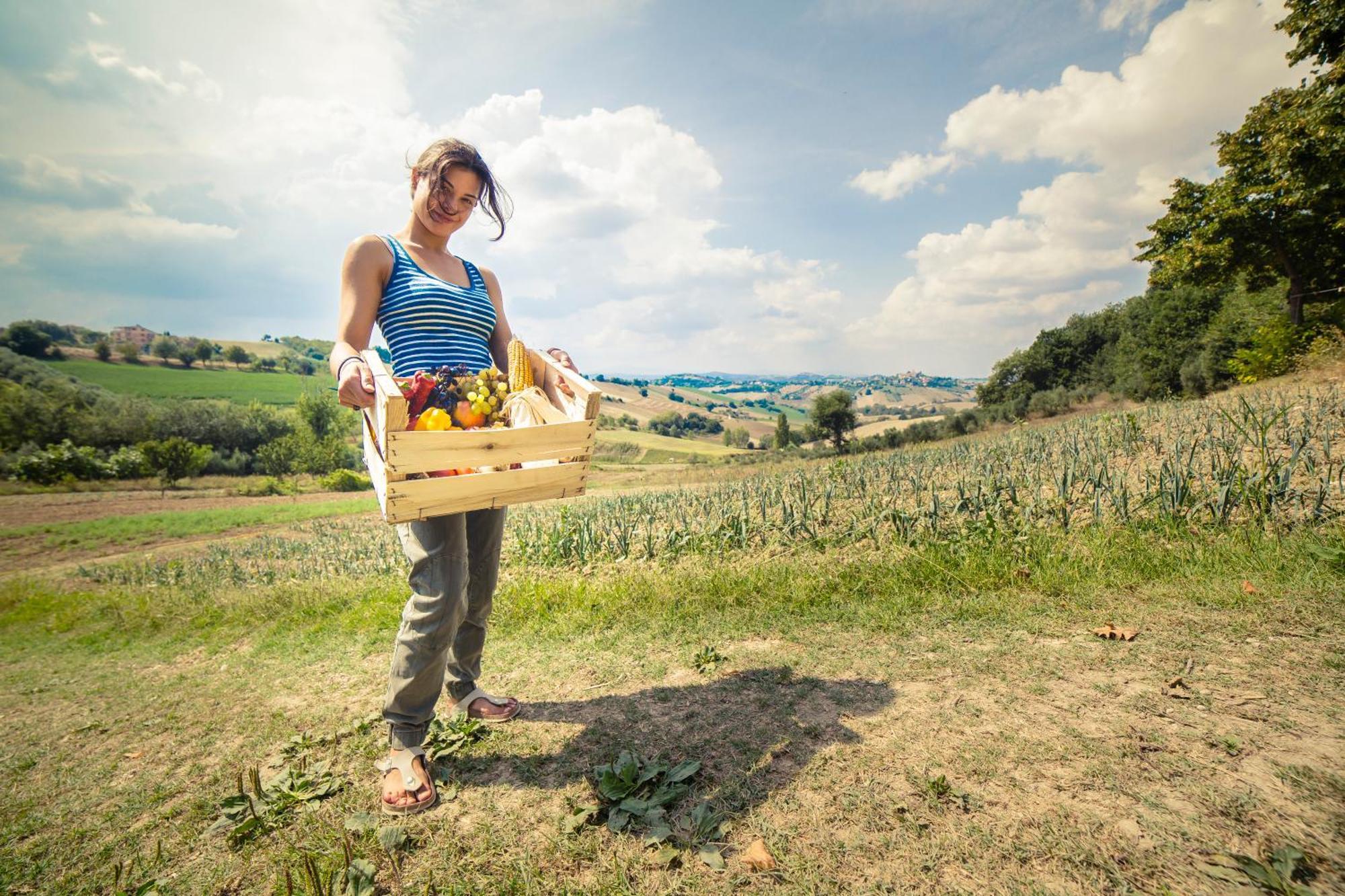 Agriturismo Fonte Carella Monte San Pietrangeli 외부 사진